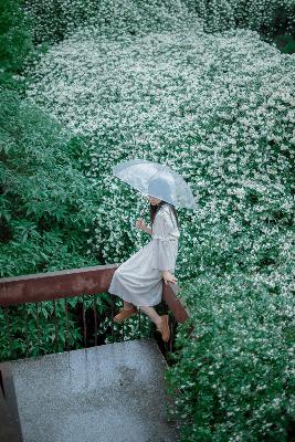 最好看免费观看高清视频了